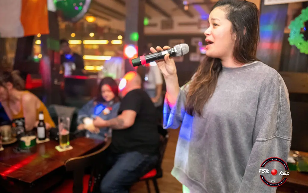 Karaoke-Show & Interaktives Party-Entertainment
